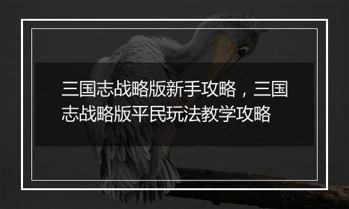 三国志战略版新手攻略，三国志战略版平民玩法教学攻略