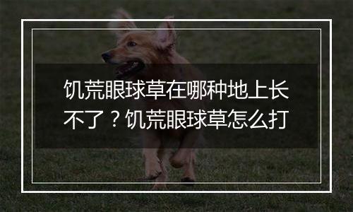 饥荒眼球草在哪种地上长不了？饥荒眼球草怎么打
