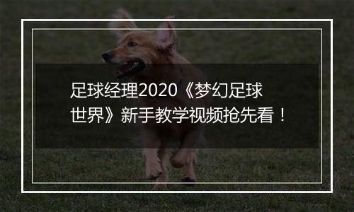 足球经理2020《梦幻足球世界》新手教学视频抢先看！
