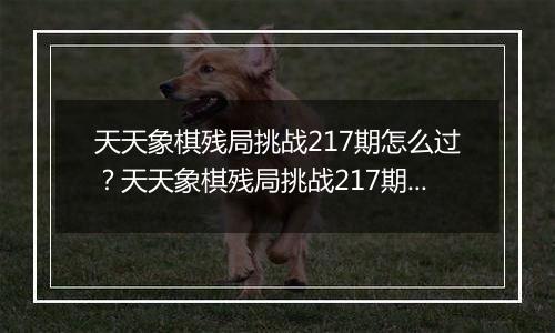 天天象棋残局挑战217期怎么过？天天象棋残局挑战217期通关攻略
