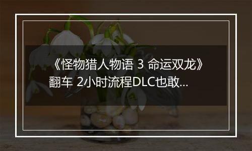 《怪物猎人物语 3 命运双龙》翻车 2小时流程DLC也敢买50元