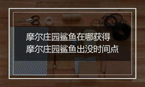 摩尔庄园鲨鱼在哪获得 摩尔庄园鲨鱼出没时间点