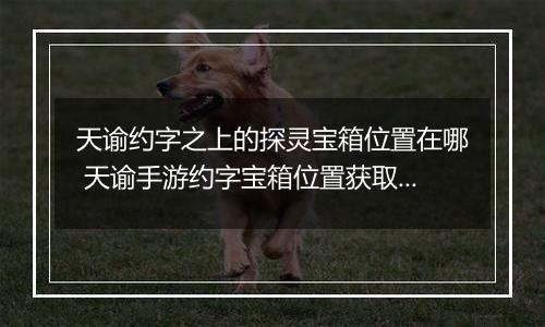 天谕约字之上的探灵宝箱位置在哪 天谕手游约字宝箱位置获取攻略