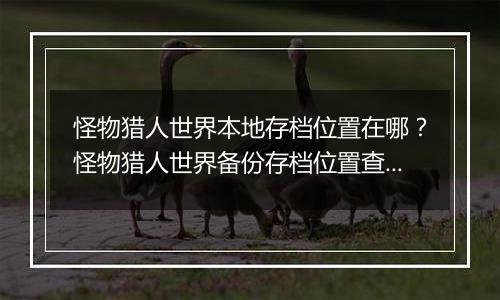 怪物猎人世界本地存档位置在哪？怪物猎人世界备份存档位置查找教学