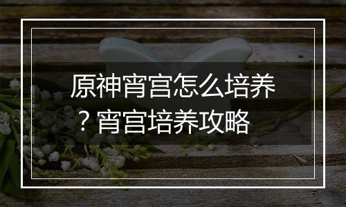 原神宵宫怎么培养？宵宫培养攻略