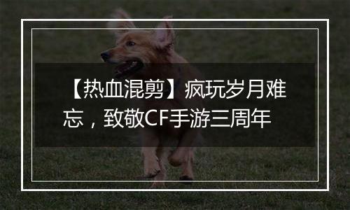 【热血混剪】疯玩岁月难忘，致敬CF手游三周年