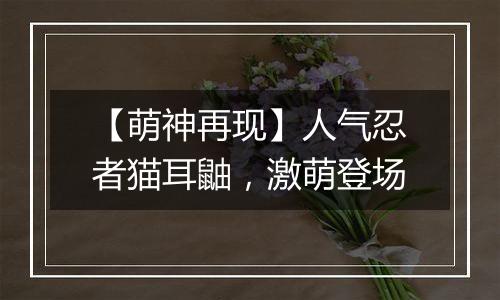【萌神再现】人气忍者猫耳鼬，激萌登场
