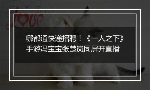哪都通快递招聘！《一人之下》手游冯宝宝张楚岚同屏开直播