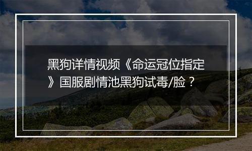 黑狗详情视频《命运冠位指定》国服剧情池黑狗试毒/脸？