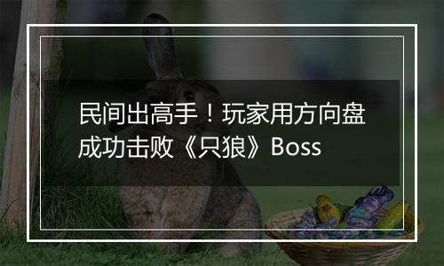 民间出高手！玩家用方向盘成功击败《只狼》Boss