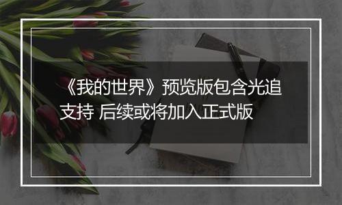 《我的世界》预览版包含光追支持 后续或将加入正式版