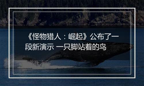 《怪物猎人：崛起》公布了一段新演示 一只脚站着的鸟