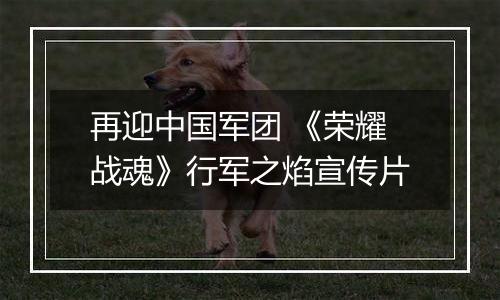 再迎中国军团 《荣耀战魂》行军之焰宣传片