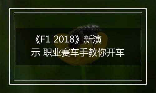 《F1 2018》新演示 职业赛车手教你开车