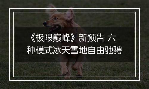 《极限巅峰》新预告 六种模式冰天雪地自由驰骋