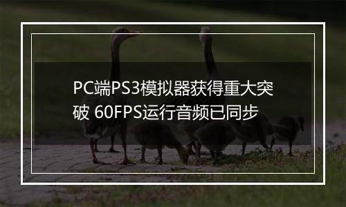PC端PS3模拟器获得重大突破 60FPS运行音频已同步