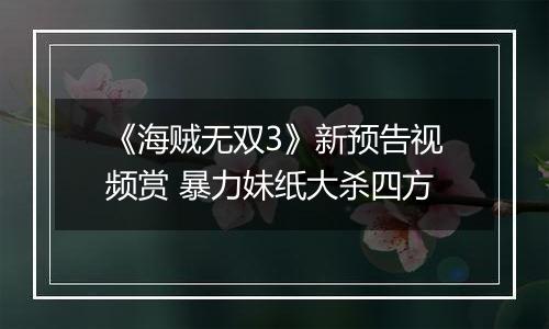 《海贼无双3》新预告视频赏 暴力妹纸大杀四方