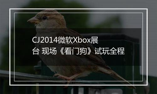 CJ2014微软Xbox展台 现场《看门狗》试玩全程
