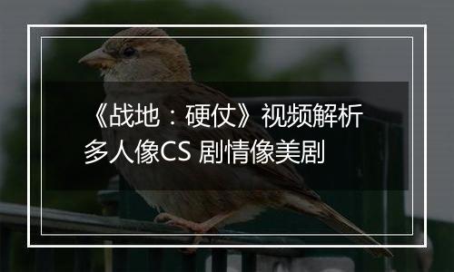 《战地：硬仗》视频解析 多人像CS 剧情像美剧