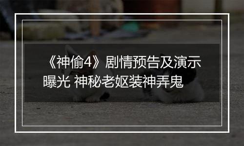 《神偷4》剧情预告及演示曝光 神秘老妪装神弄鬼