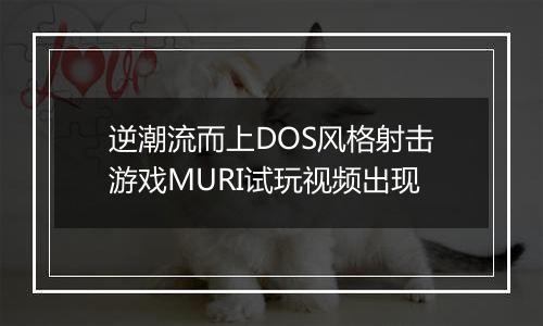 逆潮流而上DOS风格射击游戏MURI试玩视频出现