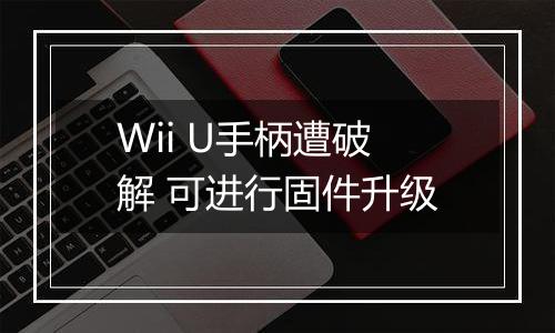 Wii U手柄遭破解 可进行固件升级