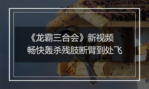 《龙霸三合会》新视频 畅快轰杀残肢断臂到处飞