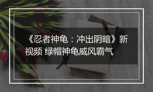 《忍者神龟：冲出阴暗》新视频 绿帽神龟威风霸气