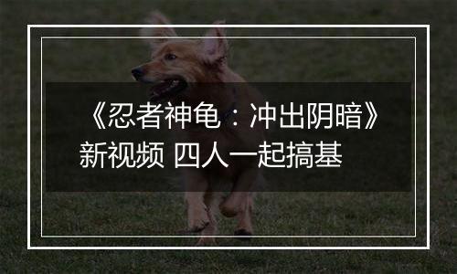 《忍者神龟：冲出阴暗》新视频 四人一起搞基