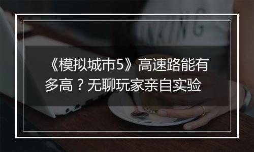 《模拟城市5》高速路能有多高？无聊玩家亲自实验