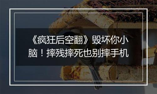 《疯狂后空翻》毁坏你小脑！摔残摔死也别摔手机