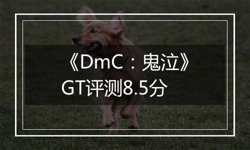 《DmC：鬼泣》GT评测8.5分
