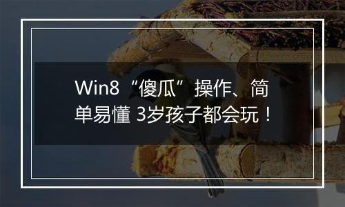 Win8“傻瓜”操作、简单易懂 3岁孩子都会玩！