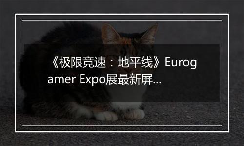 《极限竞速：地平线》Eurogamer Expo展最新屏摄