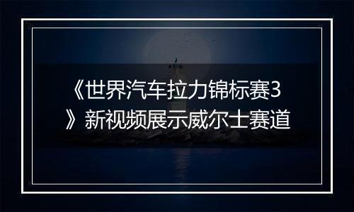 《世界汽车拉力锦标赛3》新视频展示威尔士赛道
