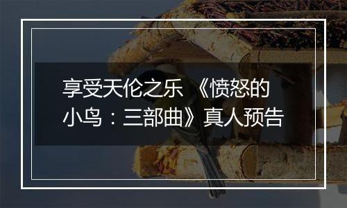 享受天伦之乐 《愤怒的小鸟：三部曲》真人预告