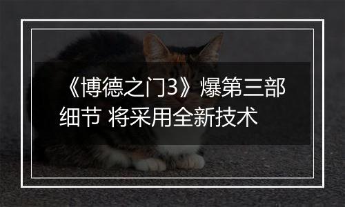 《博德之门3》爆第三部细节 将采用全新技术