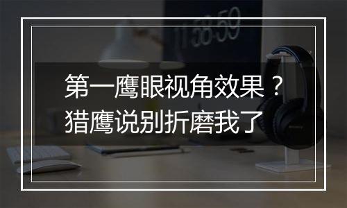 第一鹰眼视角效果？猎鹰说别折磨我了