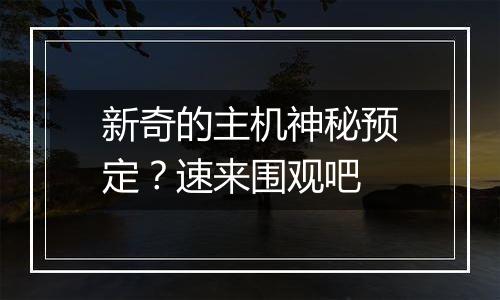 新奇的主机神秘预定？速来围观吧