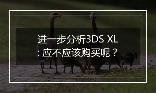 进一步分析3DS XL: 应不应该购买呢？