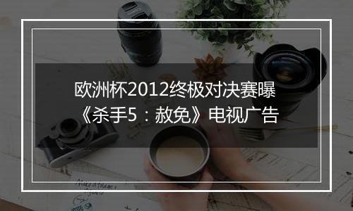 欧洲杯2012终极对决赛曝《杀手5：赦免》电视广告