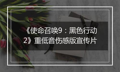 《使命召唤9：黑色行动2》重低音伤感版宣传片