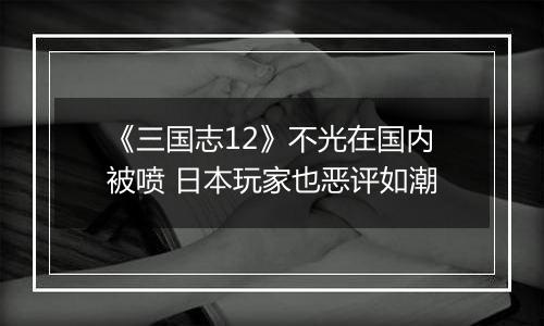 《三国志12》不光在国内被喷 日本玩家也恶评如潮