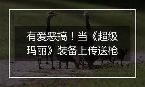 有爱恶搞！当《超级玛丽》装备上传送枪