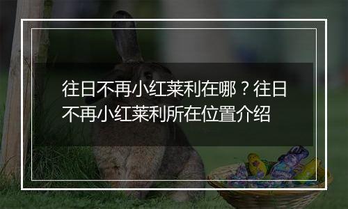 往日不再小红莱利在哪？往日不再小红莱利所在位置介绍