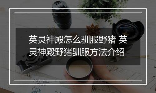 英灵神殿怎么驯服野猪 英灵神殿野猪驯服方法介绍