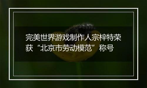 完美世界游戏制作人宗梓特荣获“北京市劳动模范”称号