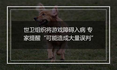 世卫组织将游戏障碍入病 专家提醒“可能造成大量误判”