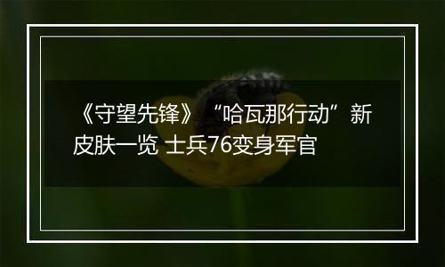 《守望先锋》“哈瓦那行动”新皮肤一览 士兵76变身军官