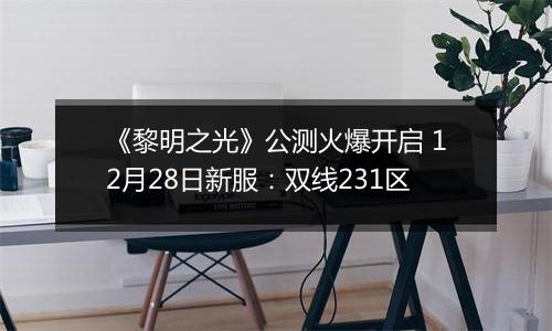 《黎明之光》公测火爆开启 12月28日新服：双线231区